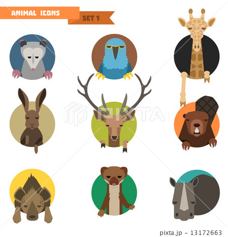 Animal avatars. Vector Illustration Animal avatars. Vector Illustration 13172663