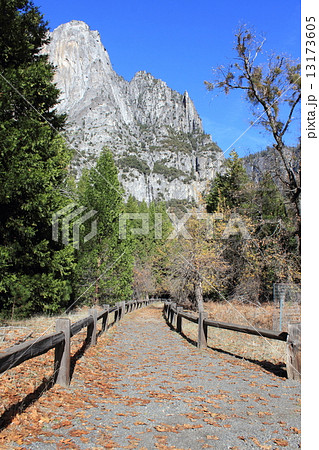 秋のヨセミテ国立公園 13173605