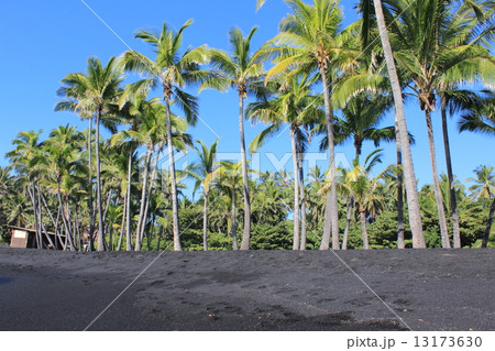 ハワイ島 ハワイ島 13173630