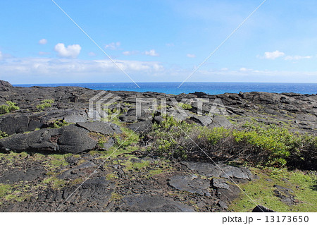 ハワイ火山国立公園 ハワイ火山国立公園 13173650