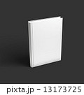 Blank book, textbook, booklet or notebook mockup. 13173725