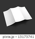 Blank trifold paper brochure mockup. 13173741
