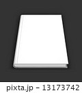 Blank book, textbook, booklet or notebook mockup. 13173742