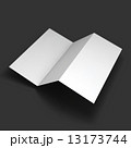 Blank trifold paper brochure mockup. 13173744