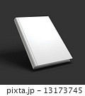 Blank book, textbook, booklet or notebook mockup. 13173745