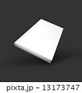 Blank book, textbook, booklet or notebook mockup. 13173747