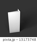 Blank trifold paper brochure mockup. 13173748