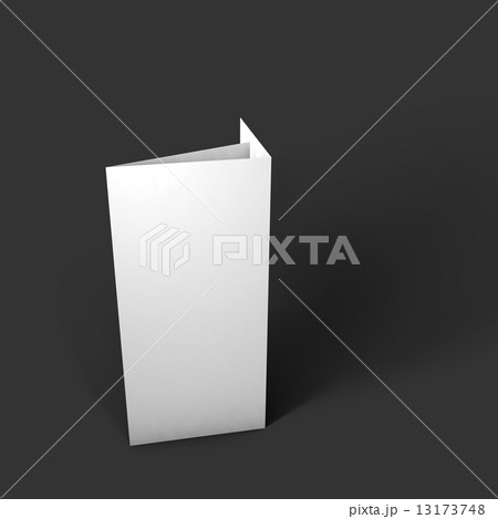 Blank trifold paper brochure mockup. 13173748