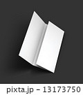 Blank trifold paper brochure mockup. 13173750