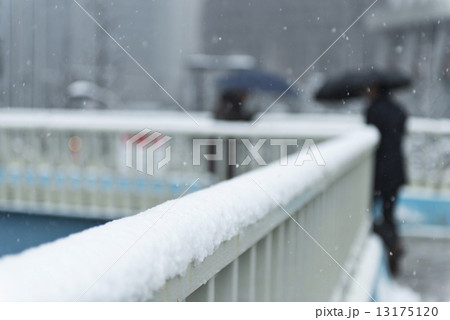 tokyo_winter 13175120