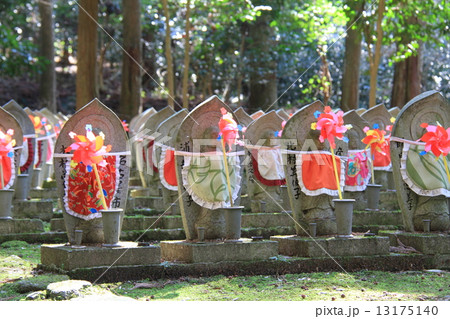 金剛輪寺 13175140