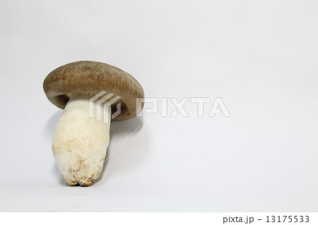 本しめじ 13175533