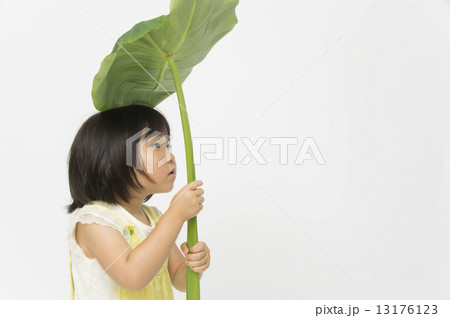 なんだ？ 13176123