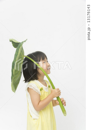 自然を楽しむ 自然を楽しむ 13176143