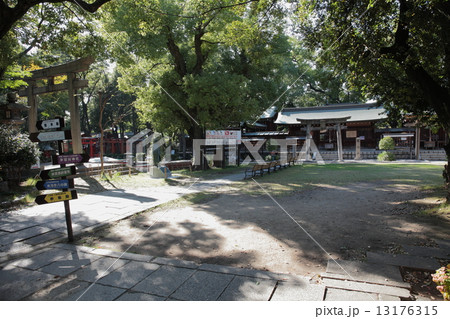 生國魂神社 13176315