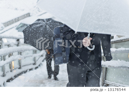 tokyo_winter 13176544