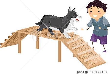 Agile Dog 13177104