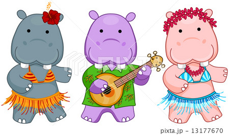 Hawaiian Hippos Hawaiian Hippos 13177670