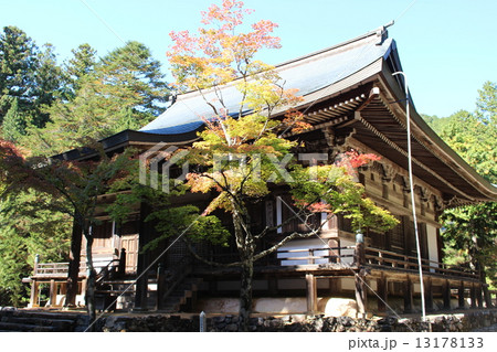 神護寺 神護寺 13178133