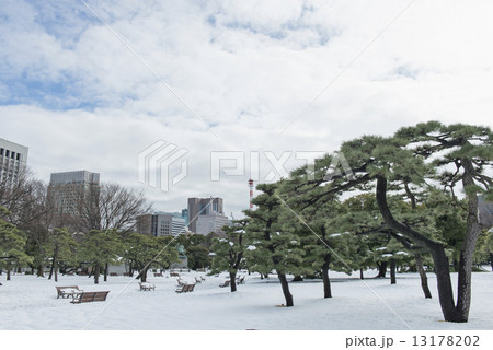 tokyo_winter 13178202