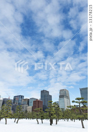 tokyo_winter 13178215