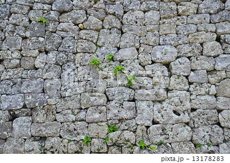 世界遺産 中城城跡の「石垣」(沖縄県中頭郡北中城村・中城村) 世界遺産 中城城跡の「石垣」(沖縄県中頭郡北中城村・中城村) 13178283
