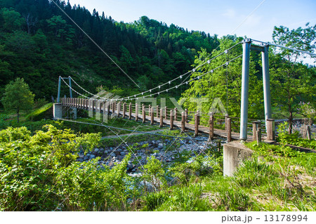 山の吊り橋 13178994