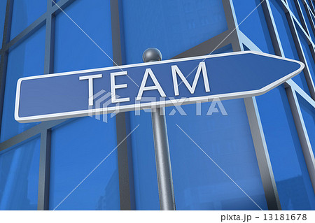 Team Team 13181678
