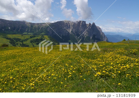 草原と山 草原と山 13181939