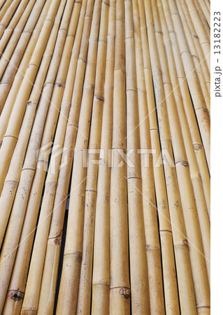 bamboo texture background 13182223
