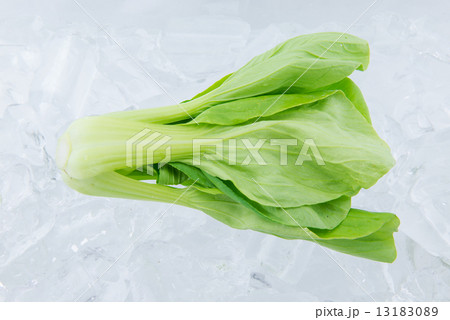 Bok Choy on ice 13183089