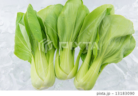 Bok Choy on ice 13183090