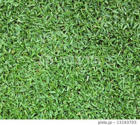 lawn lawn 13183703