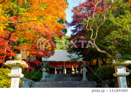 紅葉の境内 13184460