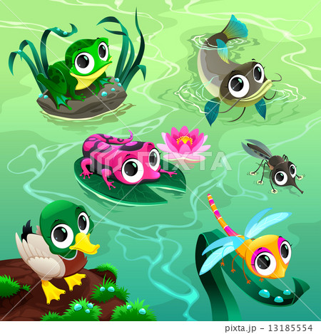 Funny animals in the pond 13185554