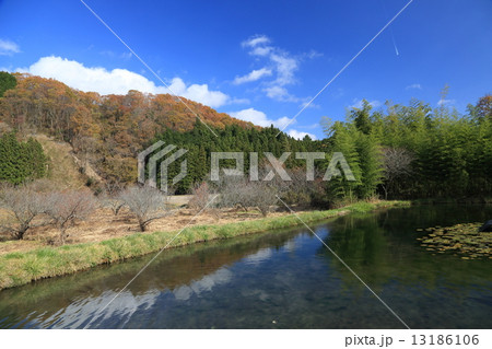 秋の田舎の風景 13186106