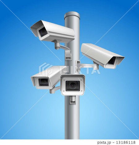 Surveillance camera pillar 13186118