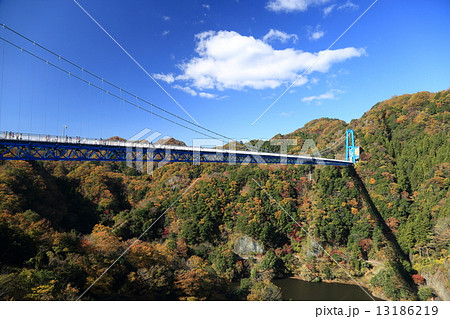 竜神大吊橋 13186219