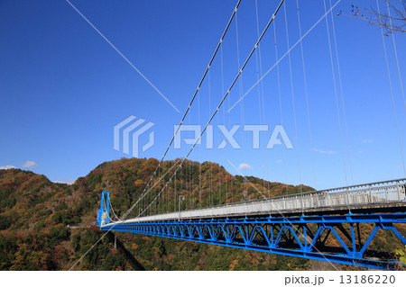 竜神大吊橋 竜神大吊橋 13186220