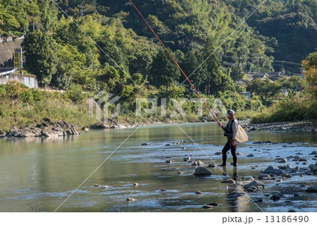 終盤の鮎釣り 終盤の鮎釣り 13186490