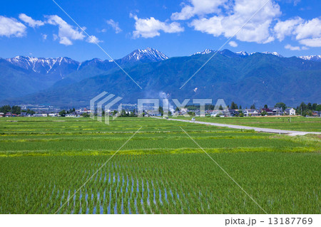 北アルプス山麓安曇野 13187769