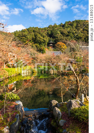 京都　永観堂　放生池 13188015