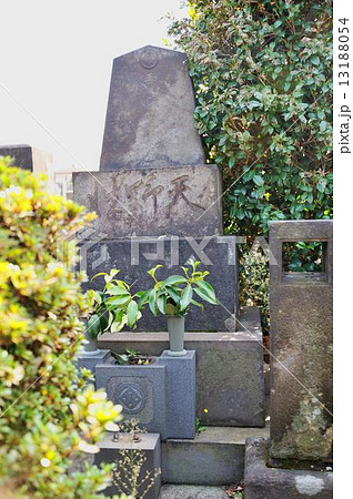 巣鴨本妙寺参詣行 13188054