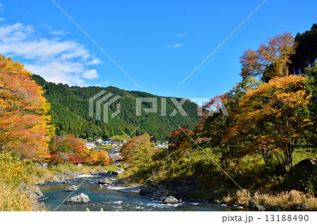 秋の御岳渓谷 13188490