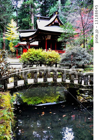 錦秋の北茨城市ドライブ行 錦秋の北茨城市ドライブ行 13188645