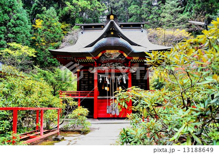 錦秋の北茨城市ドライブ行 13188649