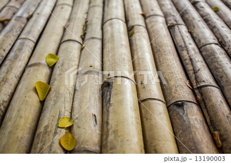 Bamboo 13190003