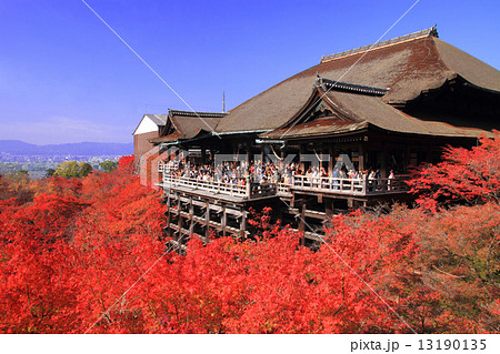 11月京都 清水寺 本堂と紅葉の写真素材