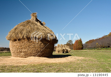 藁塚 藁塚 13190445