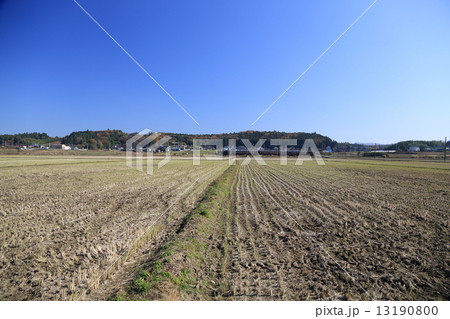 真岡鉄道SL 真岡鉄道SL 13190800